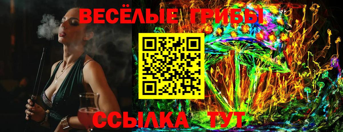 Псилоцибиновые грибы мицелий Брянск
