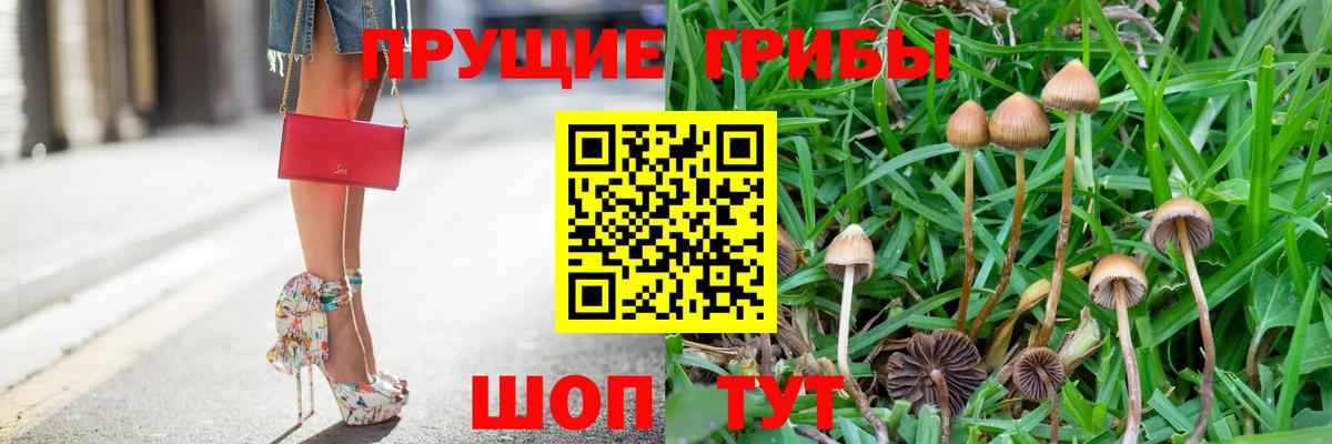 Псилоцибиновые грибы Cubensis  Псилоцибиновые грибы прущие грибы  Брянск  Вход с VPN 